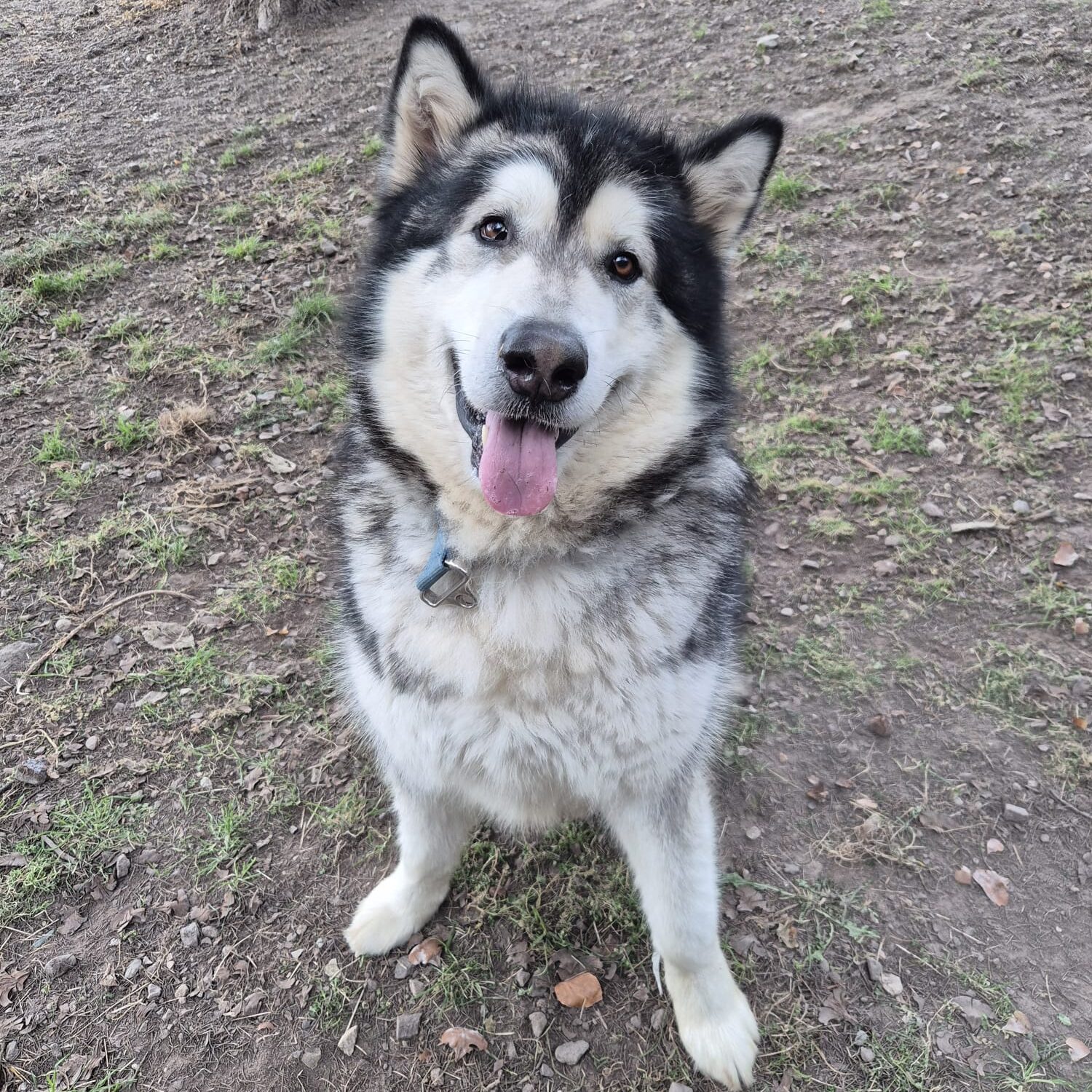 631721306_918975944116892_322020615614557178_n