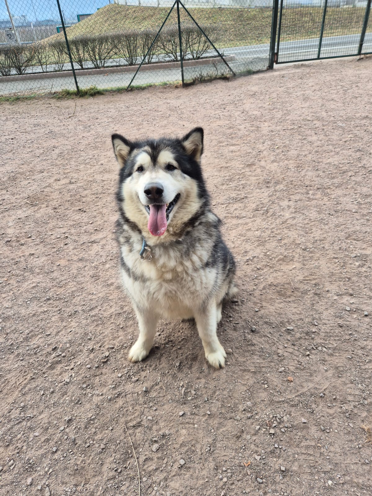 Zeus